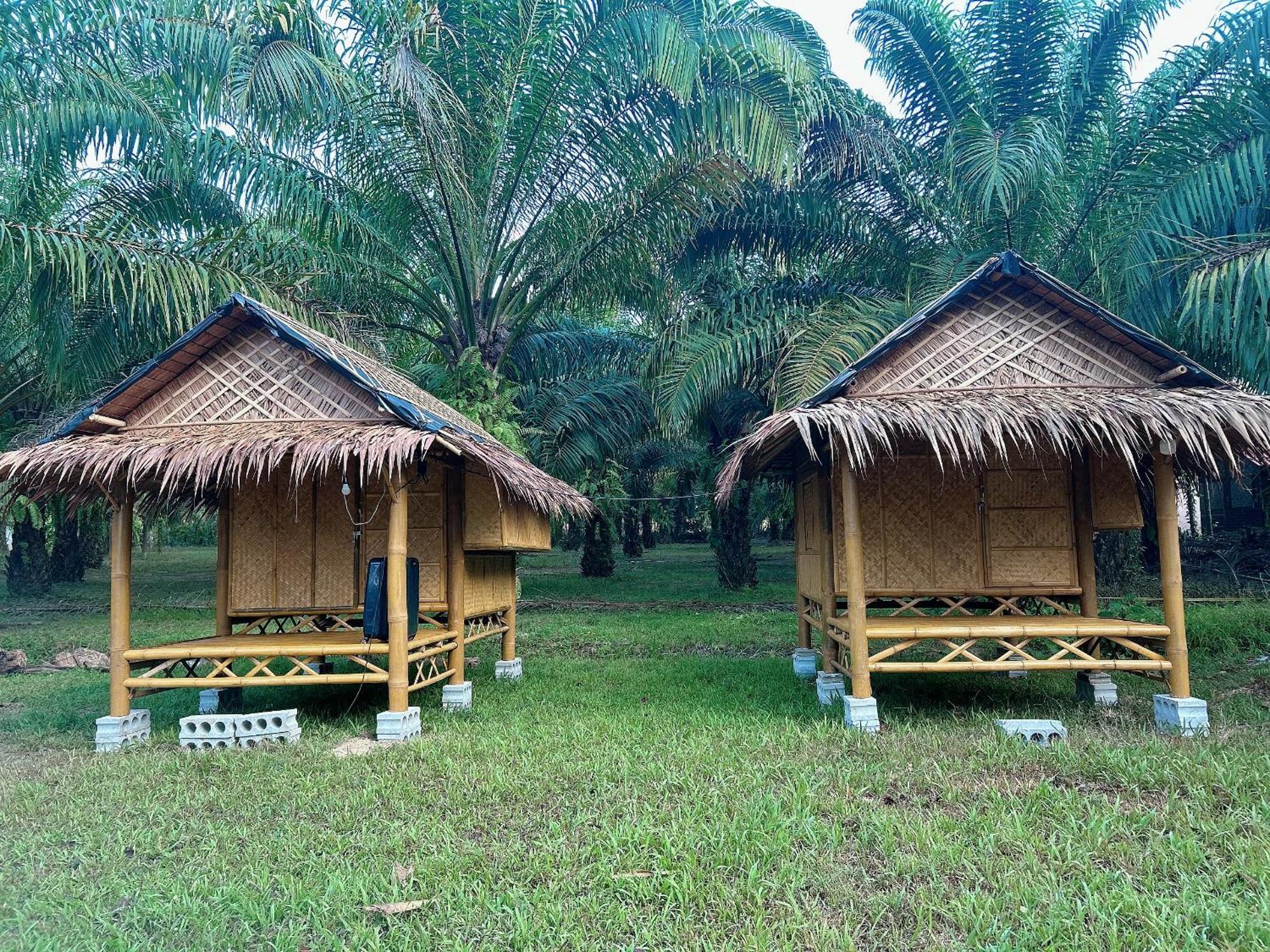 Hotel Khaosok August Freedom Camp Khao Sok National Park Exterior foto